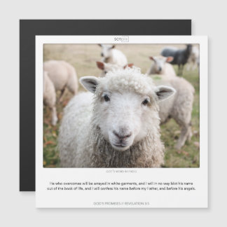 Convite Magnético Revelação 3:5 GODS PROMETE A placa de ímã SCRIPIX