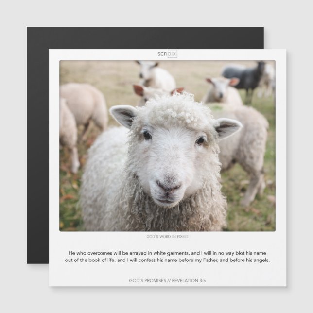 Convite Magnético Revelação 3:5 GODS PROMETE A placa de ímã SCRIPIX (Frente/Verso)