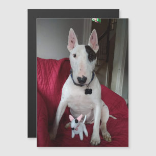Convite Magnético Rex: TV Terrier e ímã Ditto