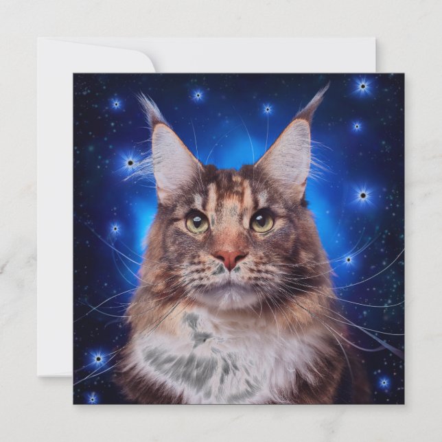 Convite Main Coon Cat Blue Background Stars (Frente)