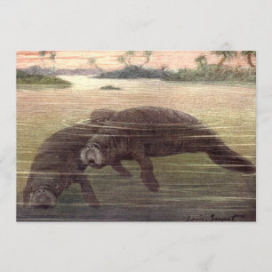 Convite Manatis ou Vacas Marinhas Antigas, Mamíferos Marin