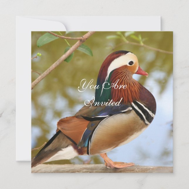 Convite Mandarin Duck (Frente)