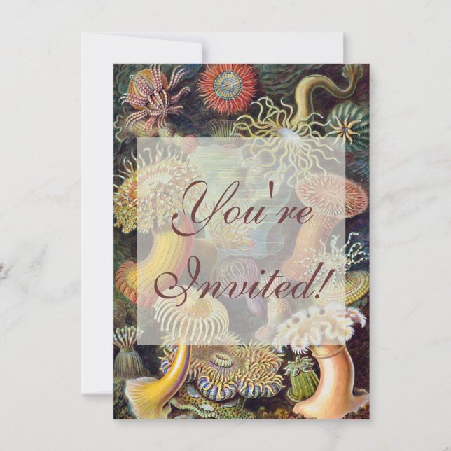 Convite Mar Anêmona Natureza Científica Oceânica (Frente)