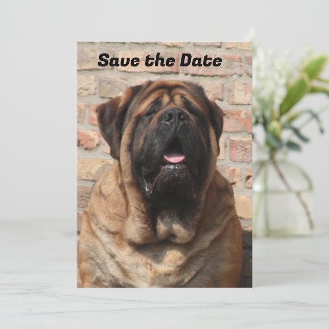 Convite  Mastiff englische Dogge Vatertag  (Em pé/Frente)