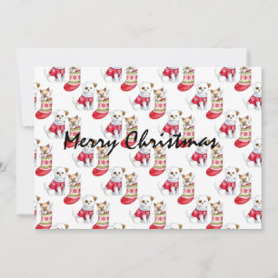 Convite Meias de Cachorro e Gato de Natal