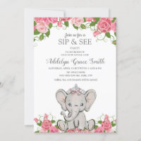 Menina Princesa Tiara Elefante Rosa Floral Sip See