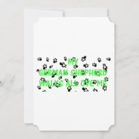 Meu Shepherd Alemão Anda Por Cima de Mim