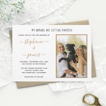 Meus Humanos Casando Foto de Casamento de Animal d
