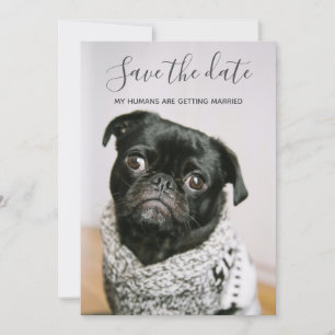 Convite Meus Humanos Casando-Se Foto De Cachorro Salvem A 