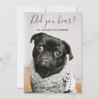 Meus Humanos Casaram Foto de Cachorro Casamento Fu