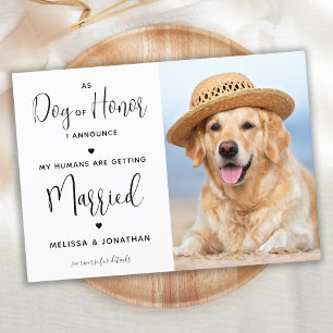 Convite Meus Humanos Estão se Casando Foto de Cachorro de 