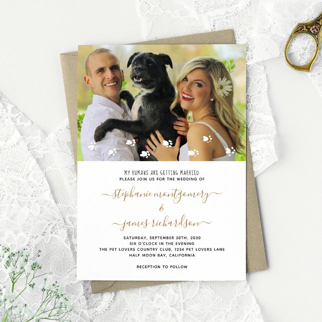 Convite Meus humanos se casando, foto de casamento de anim (Criador carregado)