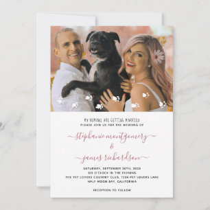 Convite Meus Humanos se Casando Foto de Casamento de Pet P
