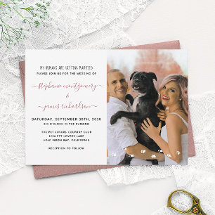 Convite Meus Humanos se Casando Foto de Casamento de Pet P