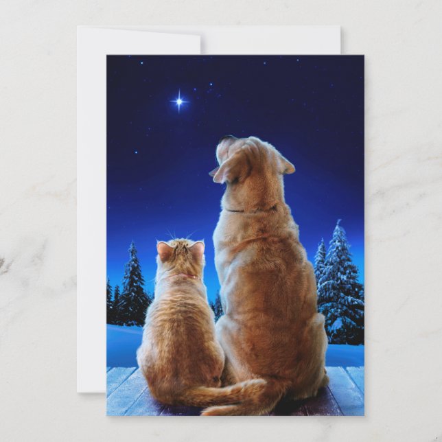 Convite Milagre de Natal de Gato e Cachorro (Frente)
