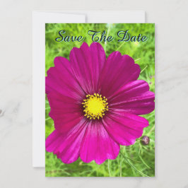 Convite Mind Edition: Cosmos Salve A Data