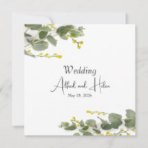 Minimalismo de flores de mimosa