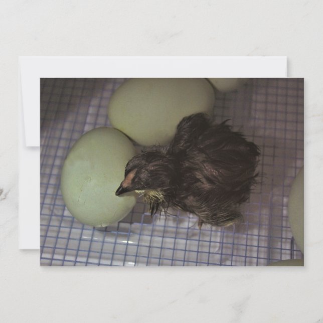 Convite Minutos velhos (Frente)