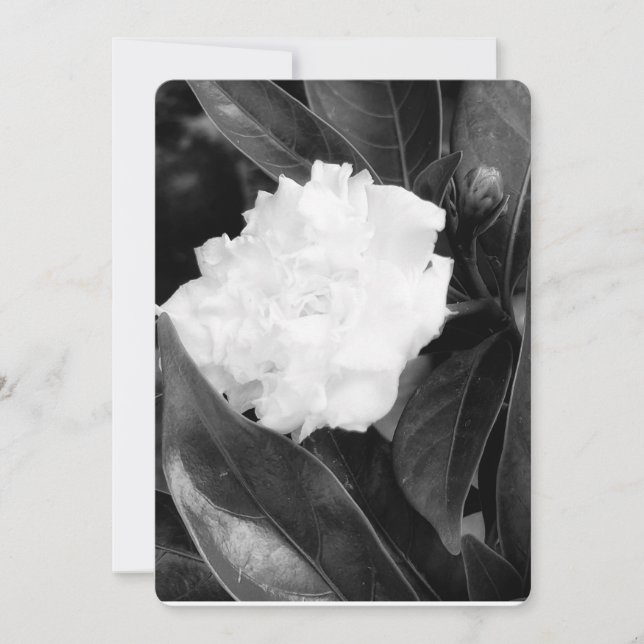 Convite Monocromo Bloom (Frente)
