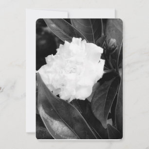 Convite Monocromo Bloom