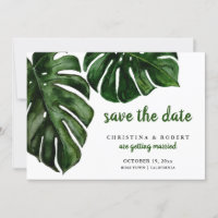 Monstera Aquarela Tropical Verde Salva A Data