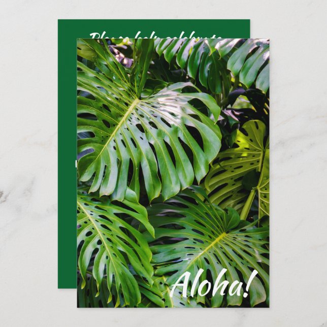 Convite Monstera Leaves, Limahuli Gardens, Kauai, Havaí (Frente/Verso)