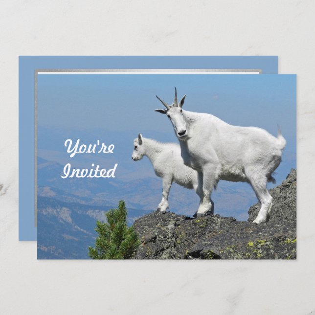 Convite Mountain Goats White Willife Foto Birthday (Frente/Verso)