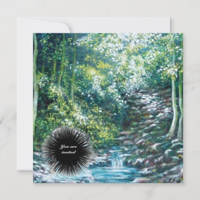 CONVITE MÚSICAS DE VERÃO NA FLORESTA (Frente)