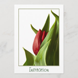 Convite Nascimento de uma tulipa vermelha do primavera -