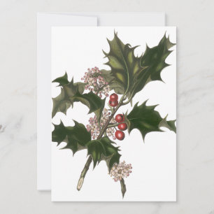 Convite Natal Antigo, Planta de Azevim Verde com Frutas