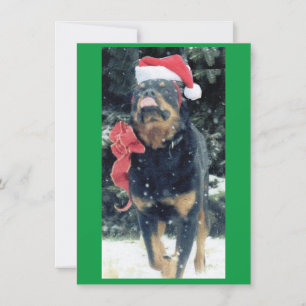 Convite natal rottweiler com chapéu de Papai Noel, vermel