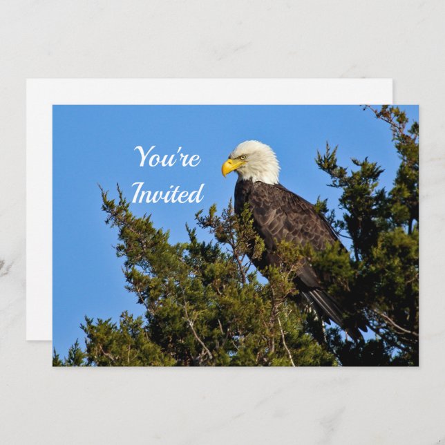 Convite Nature Bald Eagle Wildlife Foto Birthday (Frente/Verso)