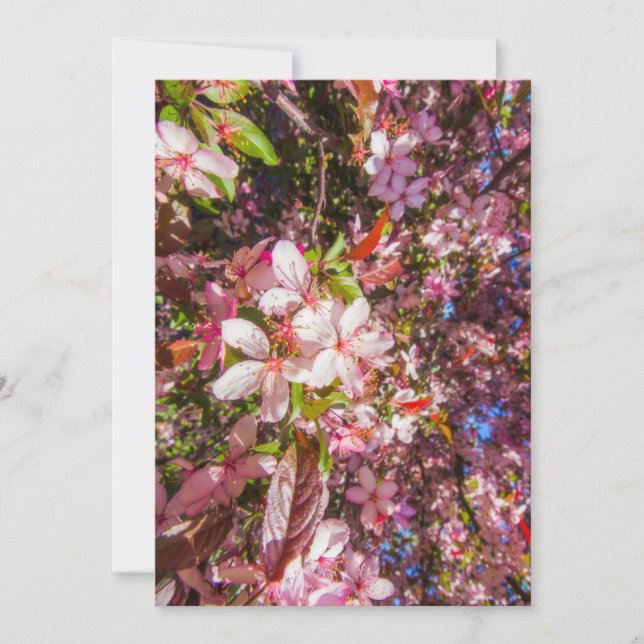 Convite Natureza floresce flores luz brilha sol (Frente)