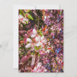 Convite Natureza floresce flores luz brilha sol