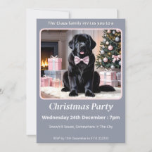 Newland Dog Christmas