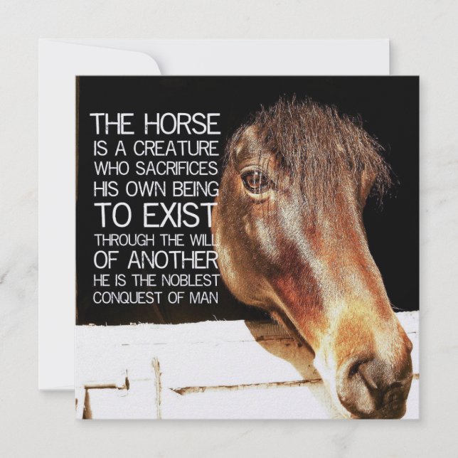 Convite NOBLE STALLION 5.25 x 5.25 card (Frente)