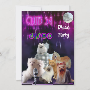 Convite Noite das Senhoras Festa Disco Cachorros G