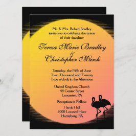 Convite Noite Solar da Noite do Sol