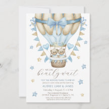 Nós Podemos Esperar Um Garoto Gêmeo, Bebê.