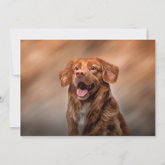 Convite Nova Escócia, Retriever de Toleragem de Pato (Verso)