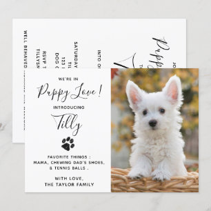 Convite Nova festa de Chá de Pet Dog