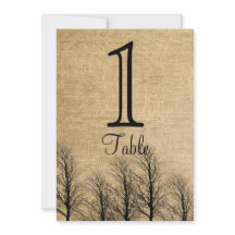 Número da Mesa de Casamento Burlap e Birch Posh