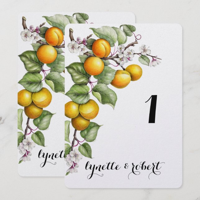 Convite Número da Mesa de Casamento com Aquarela de Frutas (Frente/Verso)