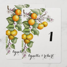Número da Mesa de Casamento com Aquarela de Frutas