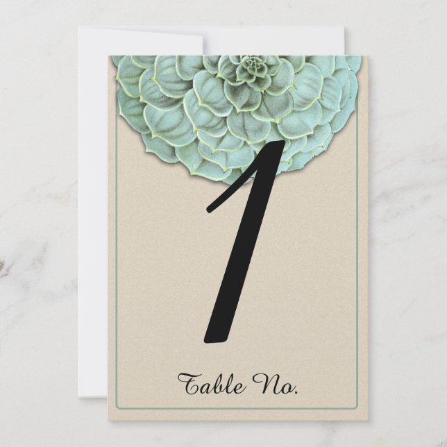 Convite Número de Mesa de Casamento Suculento Sálvia (Frente)