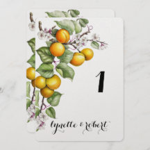 Número de Mesa de Noiva com Aquarela de Frutas e F