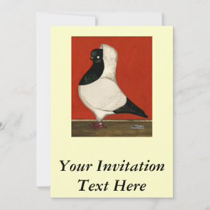 Convite Nun Pigeon Negro