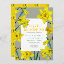 O amor está florescendo primavera amarelo.
