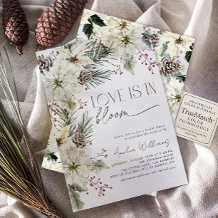 Convite O amor está no Bloom Winter Poinsettia Flowers