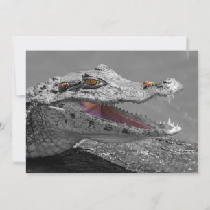 Convite O crocodilo sorridente e as moscas - Costa Rica